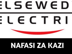 Job vacancies at Elsewedy Electric