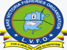 Job vacancies at LVFO