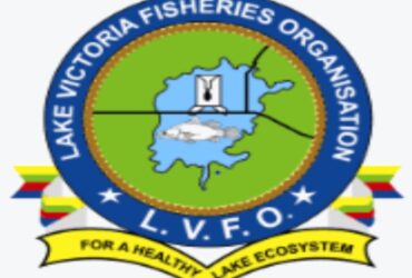 Job vacancies at LVFO