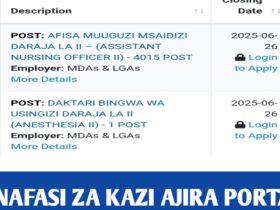 Job vacancies at AJIRA PORTAL (SERIKALINI)