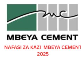 Technicians And Graduate Trainee Program At Mbeya Cement