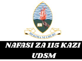 Job vacancies at UDSM