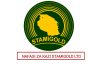 STAMIGOLD Company Limited