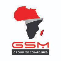 UDSM Graduate Recruitment at GSM Group of Companies