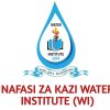 Water Institute (WI)