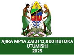 PSRS (Utumishi) 12,678 Vacancies October 2025