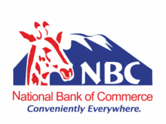 NBC Bank Tanzania Job Vacancies, 8 Positions