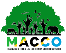 Finance Manager Job Opportunity at MACCO