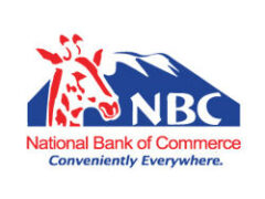 NBC Bank Tanzania Job Vacancies, 14 Positions – November 2025