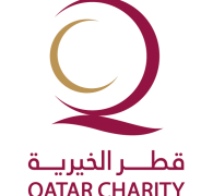 Accountant Job Opportunity at Qatar Charity