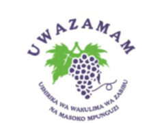 Project Officer Job Opportunity at UWAZAMAM