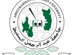 Internal Auditor Job Vacancy at SUMAIT