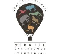Procurement Assistant at Miracle Experience