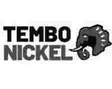 Procurement Officer at Tembo Nickel