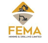 Auto Electrician Job Opportunity at Fema Mining
