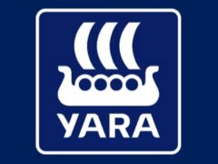 Regional Sales Manager at Yara