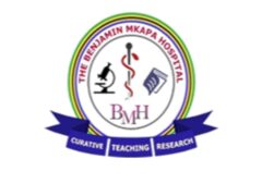 Benjamin Mkapa Hospital Job Vacancies, 10 Positions | February 2026