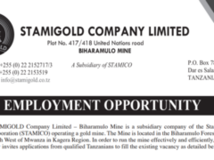 STAMIGOLD Company Ltd (Biharamulo Mine) Vacancies 2026