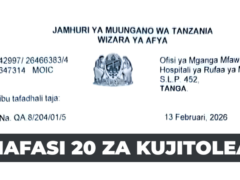 Tanga Regional Hospital Volunteer Vacancies 2026