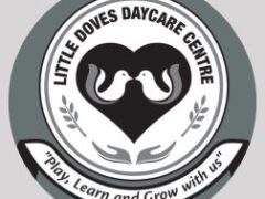 Preschool Teacher & School Manager Job Vacancy at Little Doves Daycare