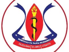 Muhimbili National Hospital (MNH) Job Vacancies, 24 Positions – March 2026