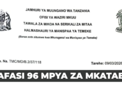 Temeke Municipal Council Contract Vacancies March 2026