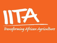 IT Support Assistant Job Vacancy at IITA