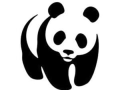 WWF Job Vacancies, 2 Positions – April 2026