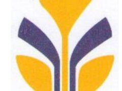Accountants — 5 Positions at Shamo Industries LTD