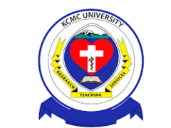 KCMC University Job Vacancy — Senior Accountant Grade III