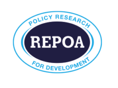 Internship Vacancies at REPOA — May 2026