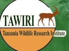 TAWIRI Job Vacancies, 5 Positions – June 2026