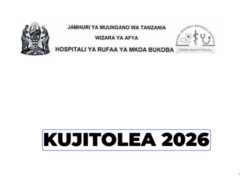 Bukoba Referral Hospital Volunteer Vacancies 2026
