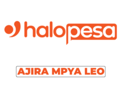 HaloPesa Vacancies 2026
