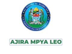 Ministry of Education, Science and Technology Tanzania Vacancies 2026