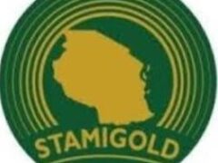 Senior Surveyor at STAMIGOLD (July 2026)