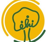 Medical Doctor at Emerging Health Initiatives (EHI)