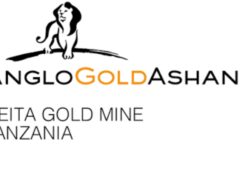 Geita Gold Mine (GGM) Job Vacancies: New 12 Positions (August 2026)