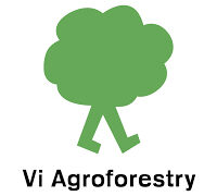 Finance, HR and Administration Officer Job Opportunity at Vi Agroforestry — August 2026