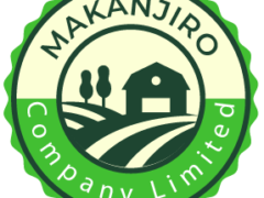 Makanjiro Company Job Vacancy — Office Attendant