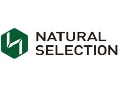 HR Assistant – Labour Relations, Government Liaison and Training at Natural Selection Mining Limited