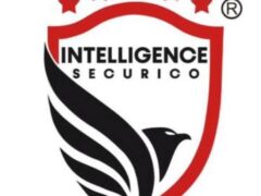 Technicians – Electronic Security Systems (4 Posts) at Intelligence Securico Limited
